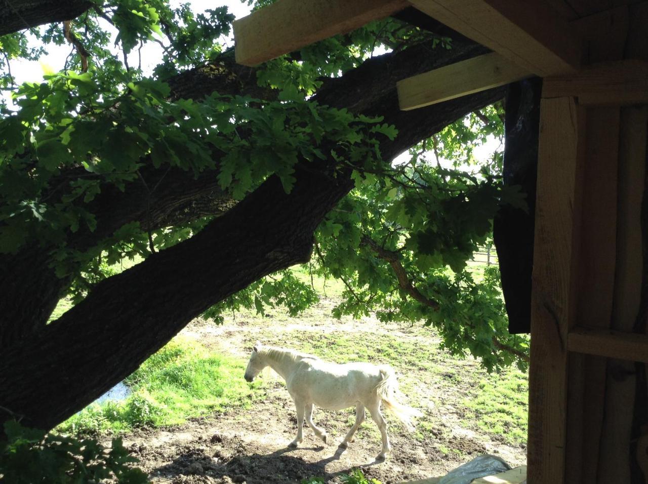 Agroturismo Kerca Bio Farm Kercaszomor